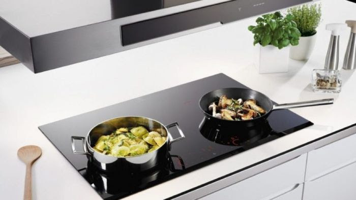 Bếp từ Elmich nhập khẩu Châu Âu